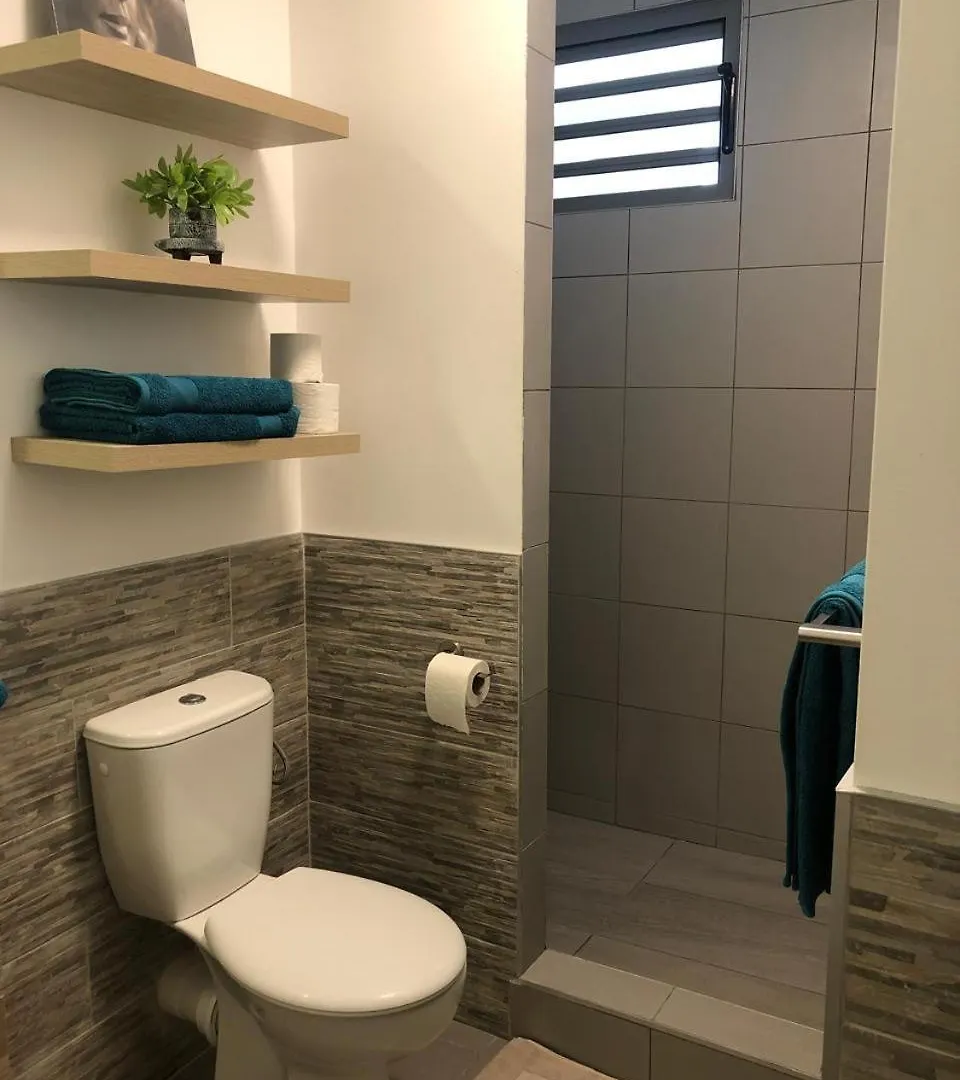 Apartment Appartement Terupe Papeete  French Polynesia